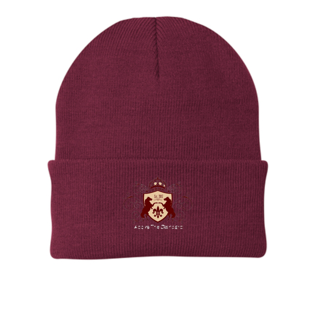 Above The Standard - Port & Company Knit Cap